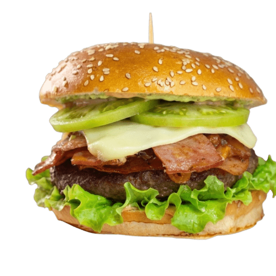 hamburguesa tradicional 564x564